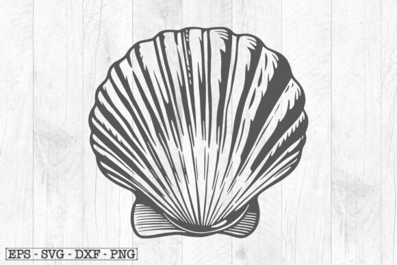Download Sea Shell Illustration , Shell Svg - Shell svg Collection