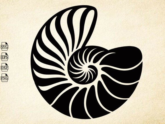 Download Seashell Svg, Shell Clipart Svg,Seashell - Shell svg Collection