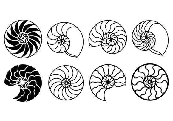 Download Nautilus Shell SVG Clipart Bundle - Shell svg Collection