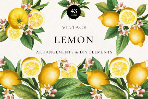 Download Vintage Lemon Citrus Fruits Arrangements - Arrangements Collection