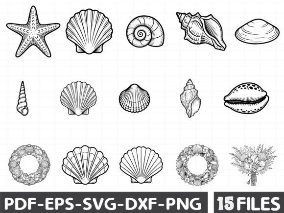 Download Coastal Seashell Svg Line Art - Shell svg Collection