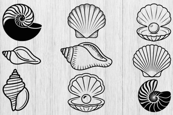 Download Seashell Svg Bundle, Shell Clipart Svg - Shell svg Collection