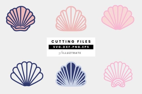 Download SeaShell SVG Cut File | Shell Cutting Fi - Shell svg Collection